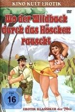 Poster de la película Wo der Wildbach durch das Höschen rauscht - Witwen-Report