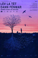 Poster de la película In the Billowing Night