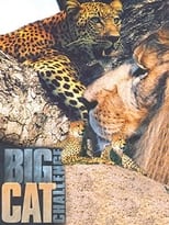 Poster de la película Big Cat Challenge