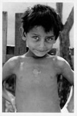 Poster de la película Faluszéli házak