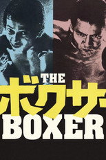 Poster de la película The Boxer