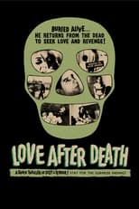Poster de la película Love After Death