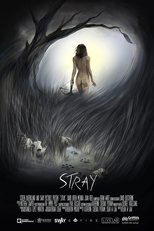 Poster de la película Stray