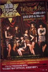 Poster de la película T-ARA Japan Tour 2013 - Treasure Box- 2nd TOUR FINAL In Budokan