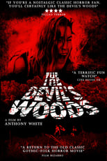 Poster de la película The Devil's Woods