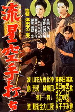 Poster de la película Meteor Karate Strike