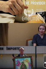 Poster de la película The Provider