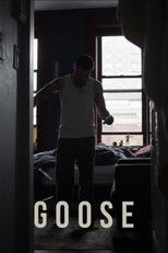 Poster de la película Goose