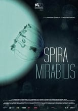 Poster de la película Miraculous Spiral