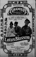 Poster de la película Lotus Blossom
