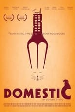 Poster de la película Domestic
