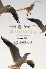 Poster de la película Arena de Náufrago
