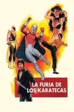 Poster de la película La furia de los karatecas