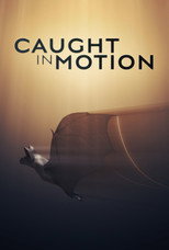 Poster de la serie Caught in Motion
