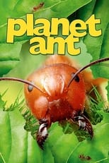 Poster de la película Planet Ant: Life Inside The Colony