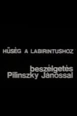 Poster de la película Hűség a labirintushoz – Beszélgetés Pilinszky Jánossal