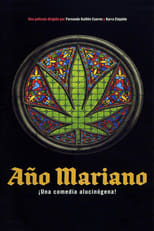 Poster de la película Año Mariano