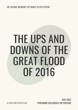Poster de la película The Ups and Downs of the Great Flood of 2016