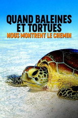 Poster de la película Quand baleines et tortues nous montrent le chemin