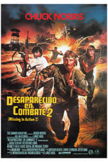 Poster de la película Desaparecido en combate 2