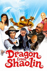 Poster de la película Dragon from Shaolin