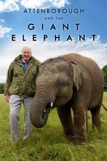 Poster de la película Attenborough and the Giant Elephant