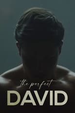 Poster de la película The Perfect David