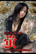 Poster de la película New Hotaru The Hyper Swindler 4