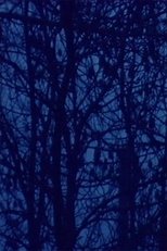 Poster de la película Il lago (soggettivo-oggettivo)