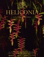 Poster de la película Heliconia