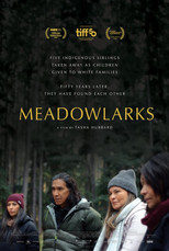 Poster de la película Meadowlarks