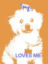Poster de la película Ripley Loves Me