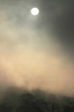 Poster de la película November Morning