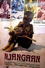 Poster de la película N'Diangane