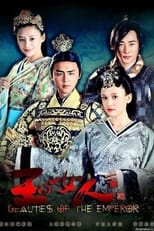 Poster de la serie 王的女人