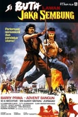 Poster de la película The Warrior and the Blind Swordsman