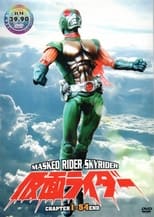 Poster de la serie New Kamen Rider - Skyrider