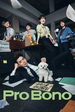 Poster de la serie Pro Bono