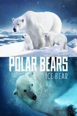 Poster de la película Polar Bears: Ice Bear