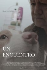Poster de la película Un Encuentro