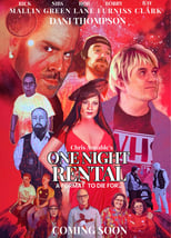 Poster de la película One Night Rental