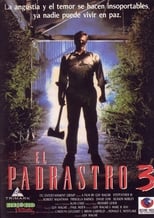 Poster de la película El padrastro 3