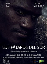 Poster de la película Los Pájaros del Sur
