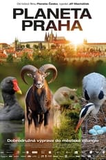 Poster de la película Wild Prague