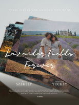 Poster de la película Lavender Fields Forever