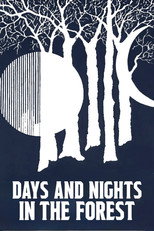 Poster de la película Days and Nights in the Forest