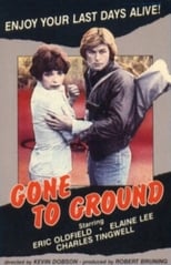 Poster de la película Gone to Ground