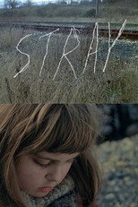 Poster de la película Stray