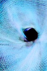 Poster de la película Knotte Grosse Loops