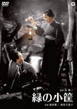 Poster de la película The Little Green Box